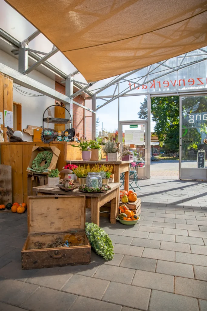 Ein einladender Eingangsbereich eines Blumenmarkts mit Holztischen, die mit verschiedenen Pflanzen, Blumen und Dekorationen geschmückt sind. Im Vordergrund befindet sich eine offene Holzkiste, umgeben von Kürbissen und einem grünen Arrangement. Im Hintergrund sind Fenster und eine Tür sichtbar, die den Blick nach draußen freigeben. Die Atmosphäre ist hell und freundlich, ideal für Gartenliebhaber und Pflanzenfreunde.
